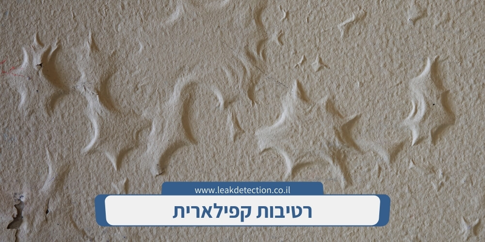 רטיבות קפילארית