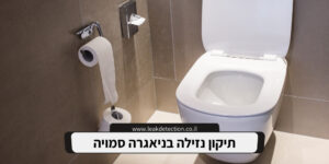 תיקון נזילה בניאגרה סמויה