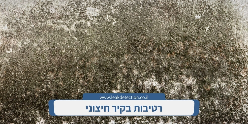 רטיבות בקיר חיצוני