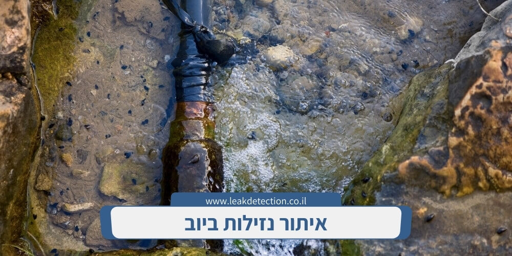 איתור נזילות ביוב