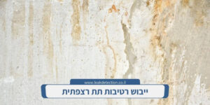 תיקון רטיבות בקיר